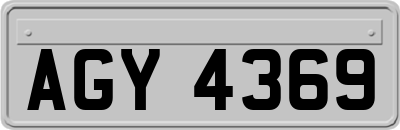 AGY4369