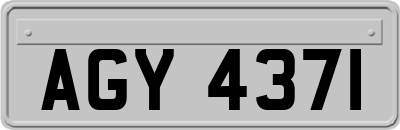 AGY4371