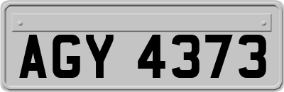 AGY4373