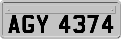 AGY4374