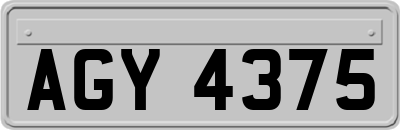 AGY4375