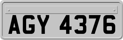 AGY4376