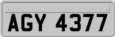 AGY4377