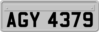 AGY4379