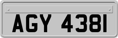 AGY4381