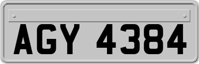 AGY4384