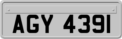 AGY4391