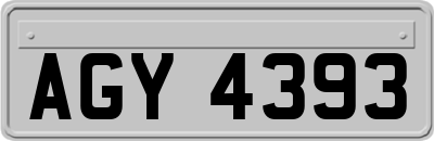 AGY4393