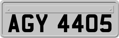 AGY4405