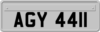 AGY4411