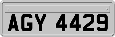 AGY4429
