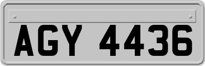 AGY4436