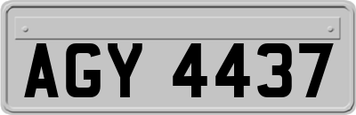 AGY4437