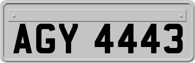 AGY4443
