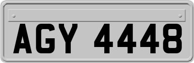 AGY4448