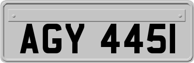 AGY4451