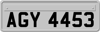 AGY4453