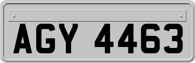 AGY4463