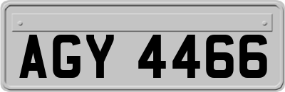 AGY4466