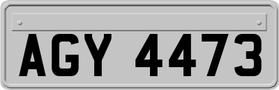 AGY4473