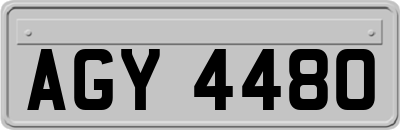 AGY4480