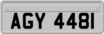 AGY4481