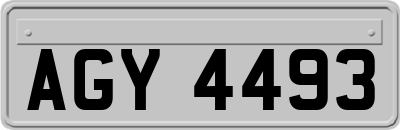 AGY4493