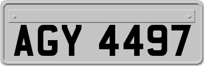 AGY4497