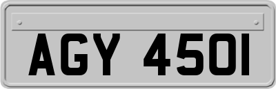 AGY4501