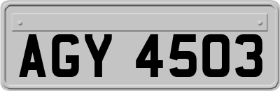 AGY4503