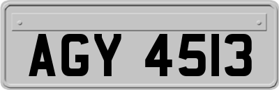 AGY4513