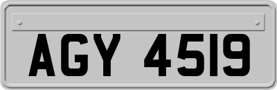 AGY4519