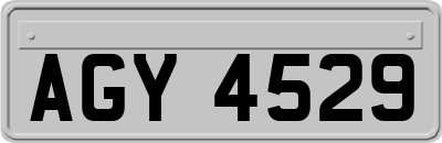 AGY4529