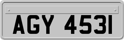 AGY4531