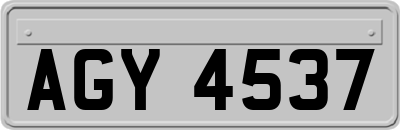 AGY4537