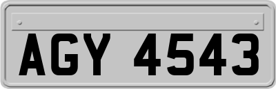AGY4543