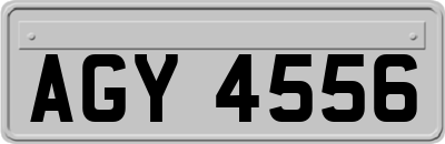 AGY4556