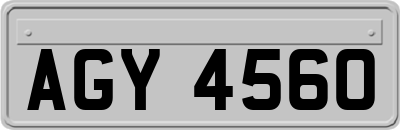 AGY4560