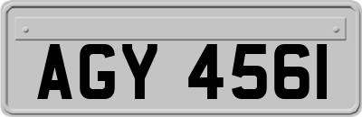 AGY4561