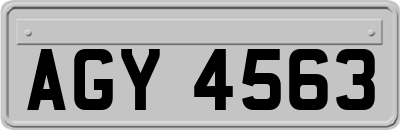 AGY4563