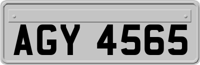 AGY4565