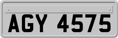 AGY4575
