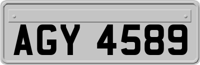 AGY4589
