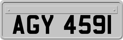 AGY4591