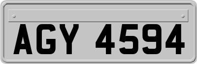 AGY4594