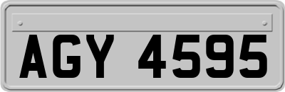 AGY4595