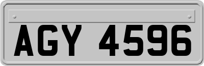AGY4596