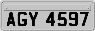 AGY4597