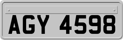 AGY4598