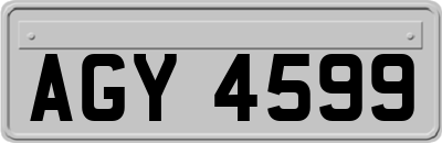 AGY4599